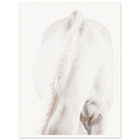 d0c9a89c-63ea-4caf-9053-e048996f333b