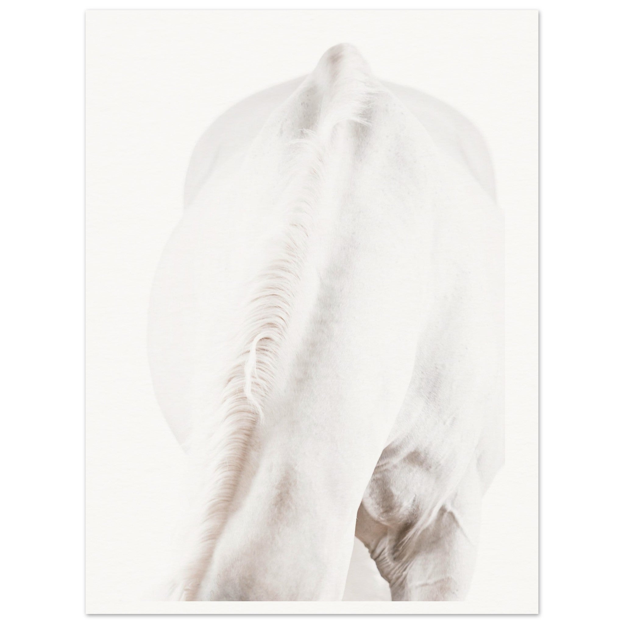 d0c9a89c-63ea-4caf-9053-e048996f333b