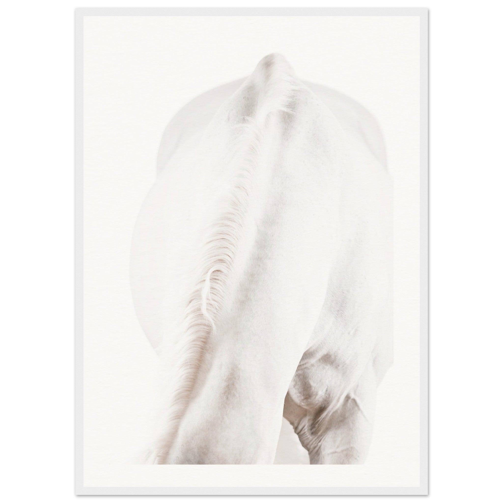 d0e27a12-8ccf-430d-ada9-762f2db1b5ee