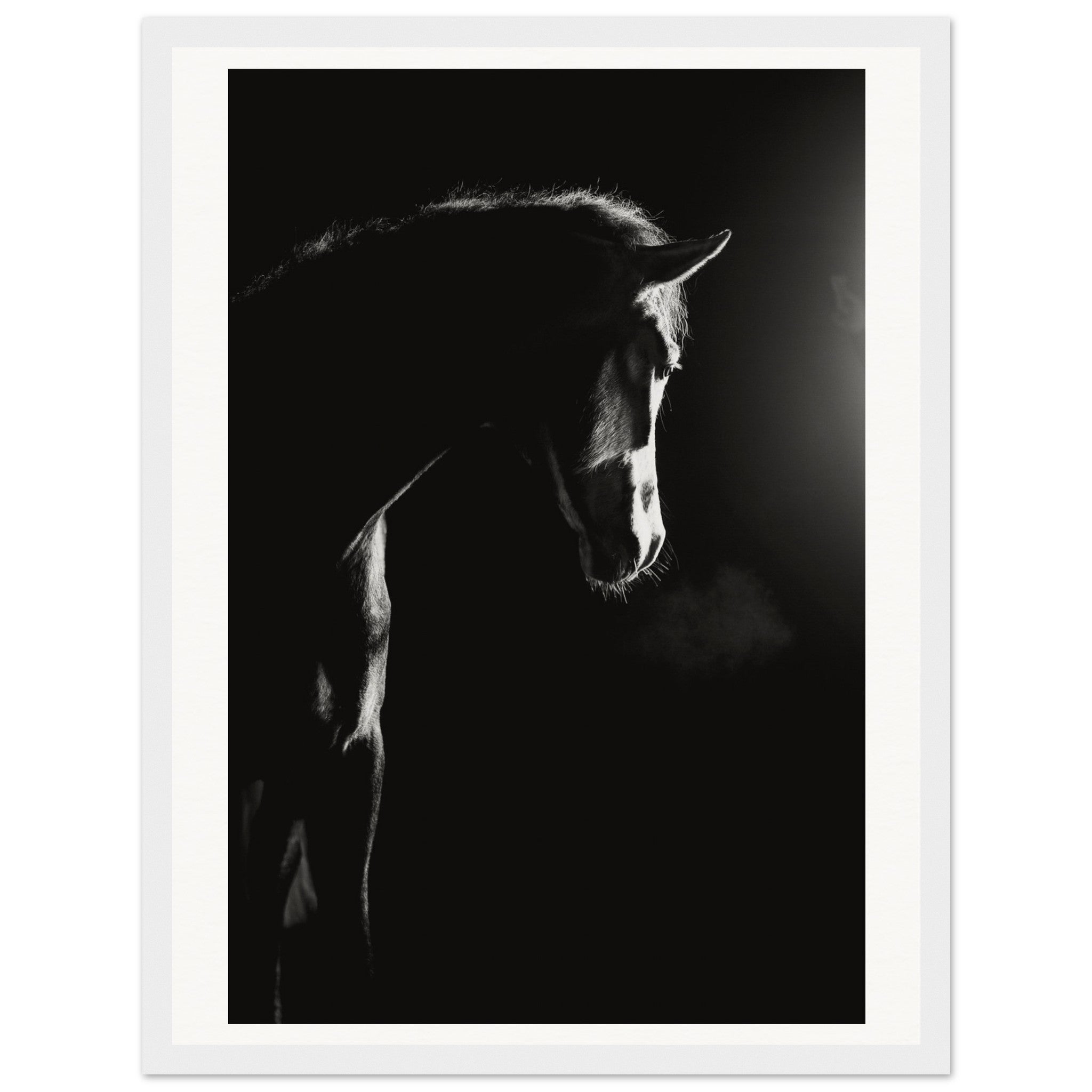 d0feee92-81c9-43ff-8f27-6c4784a7cdab