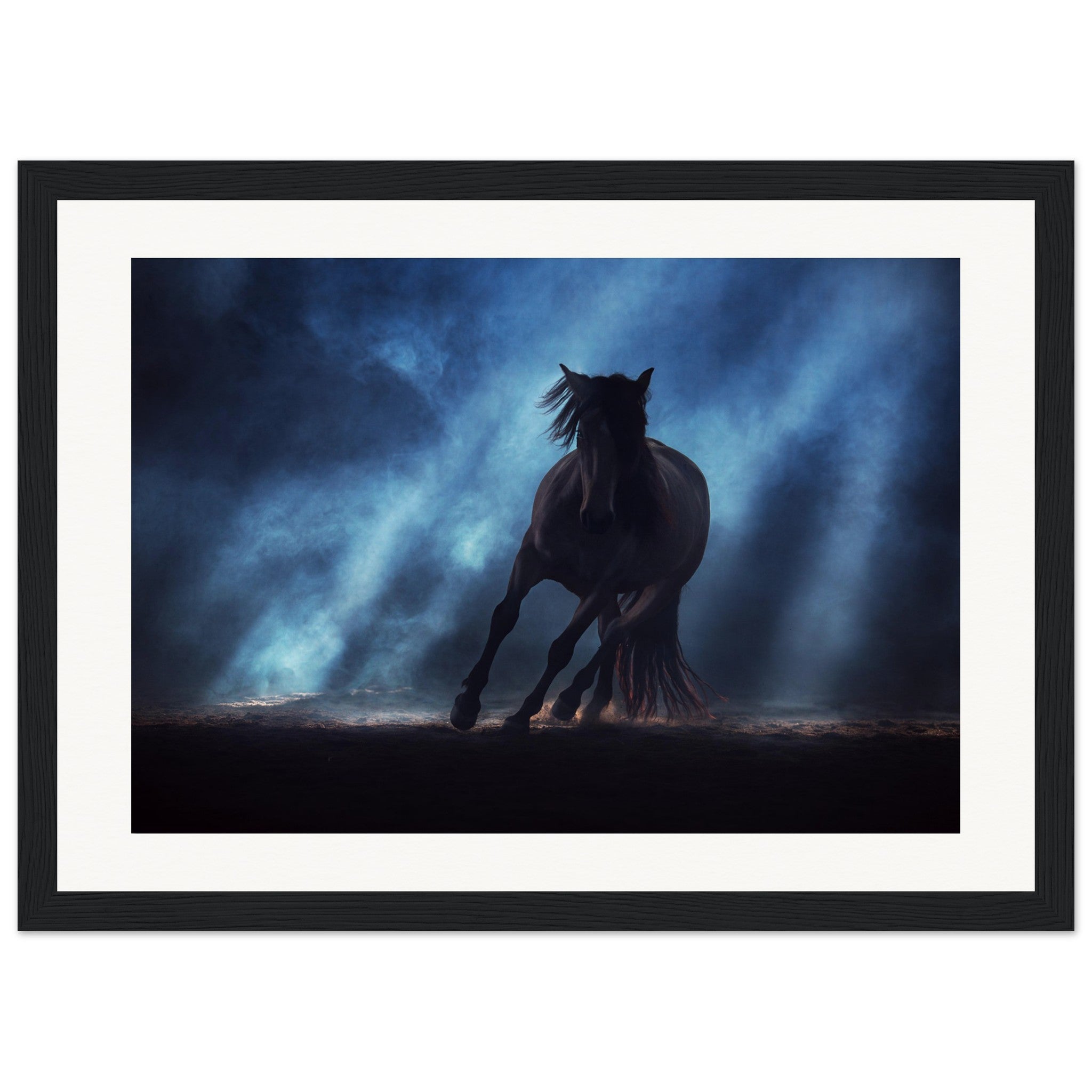 d1172ac9-c1e5-4d27-a9a1-08ccf61c9d45