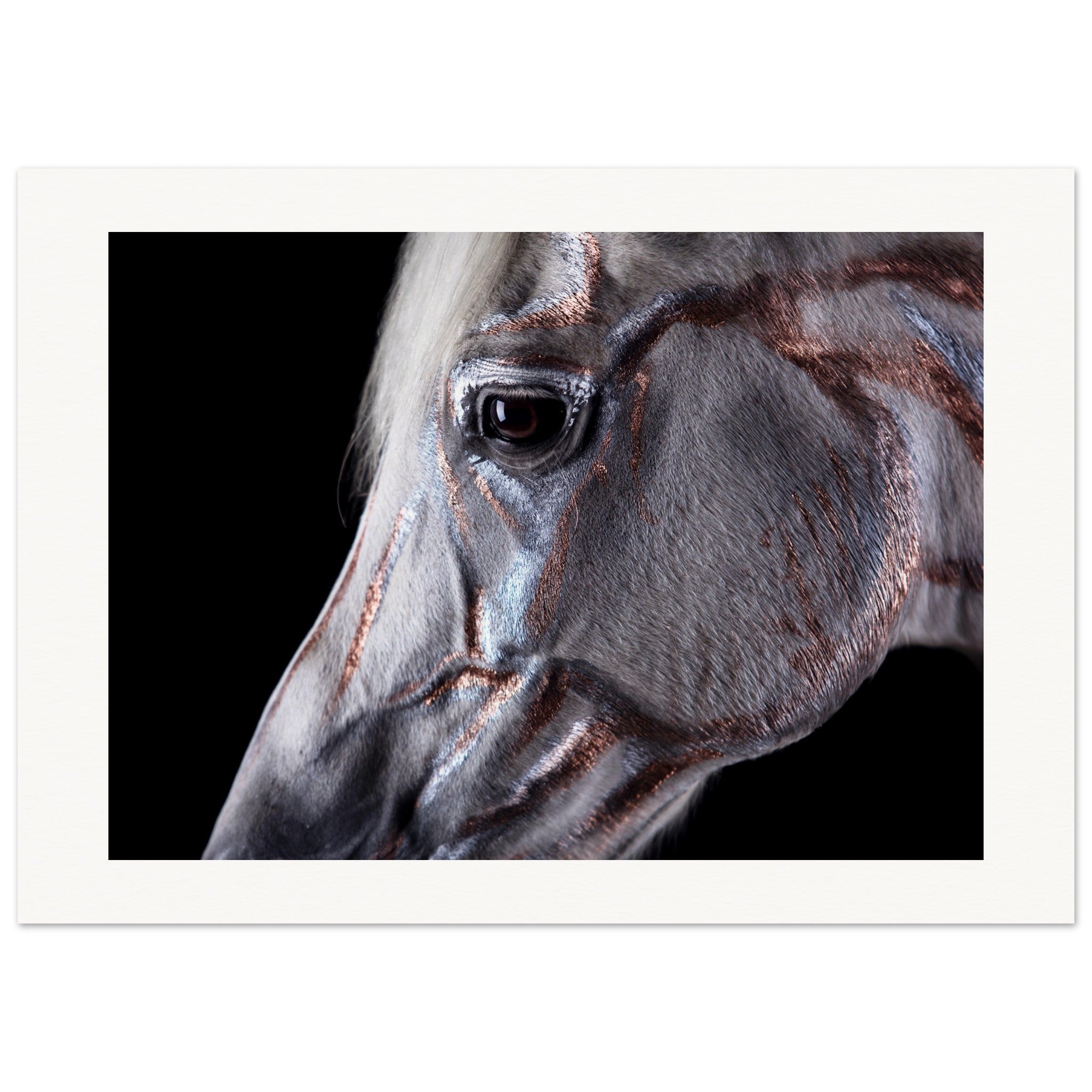 d1450333-774e-4955-8907-fdd1d6b8acff