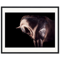 d14f30f5-e280-4ae8-a253-dbaac56504d9