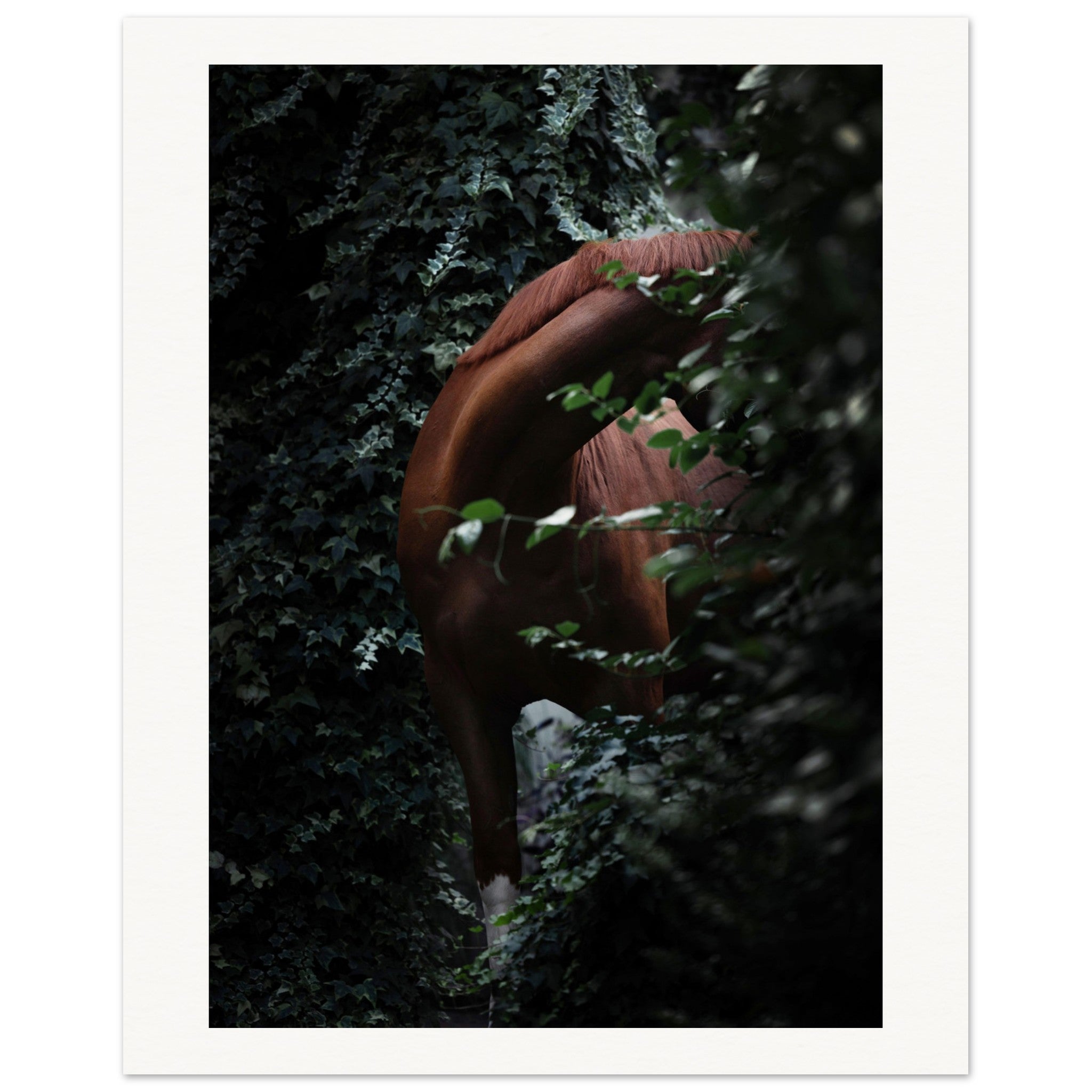 d15b480f-cda6-4ea9-845d-d0f515866eb6