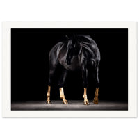 d1682f91-c5b5-4acd-8e3e-a3ebc6ebbf1f