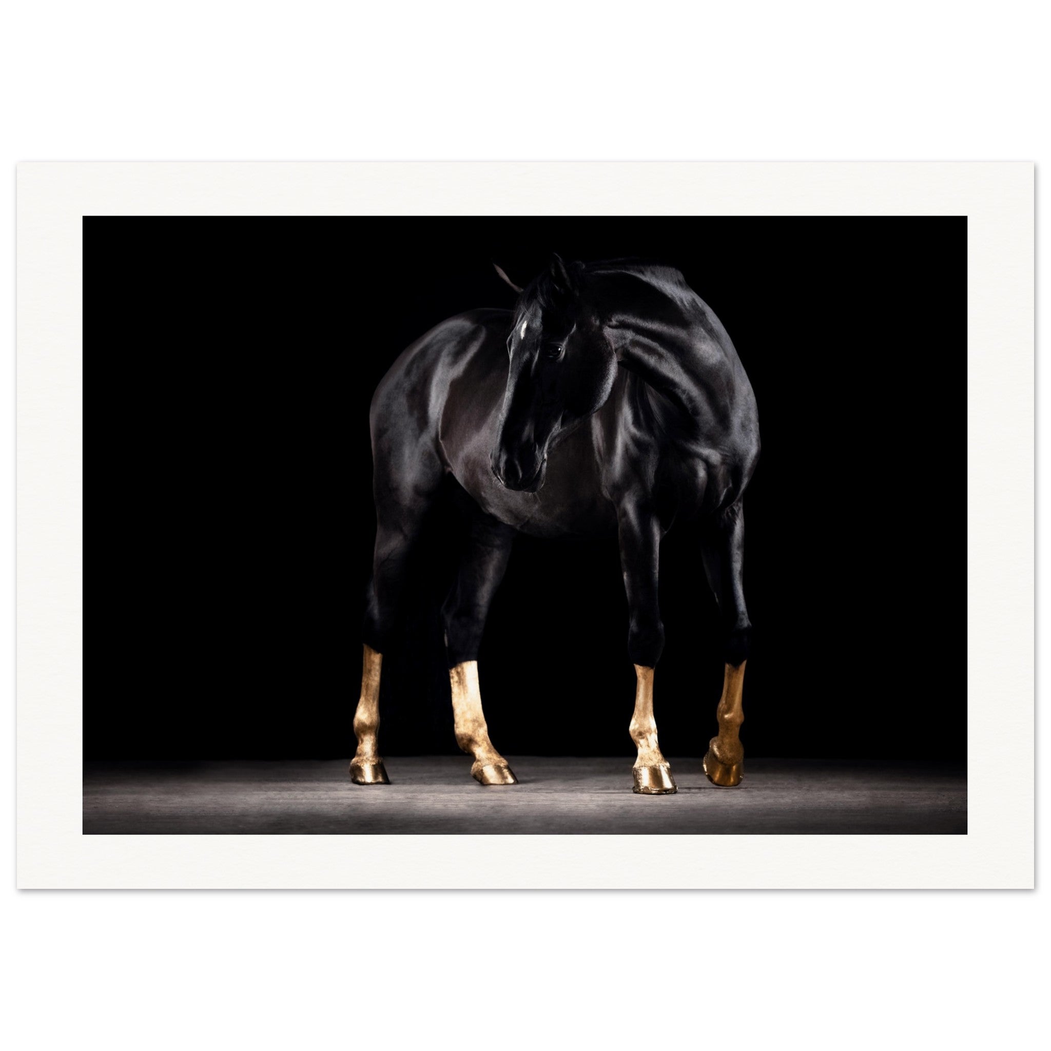 d1682f91-c5b5-4acd-8e3e-a3ebc6ebbf1f