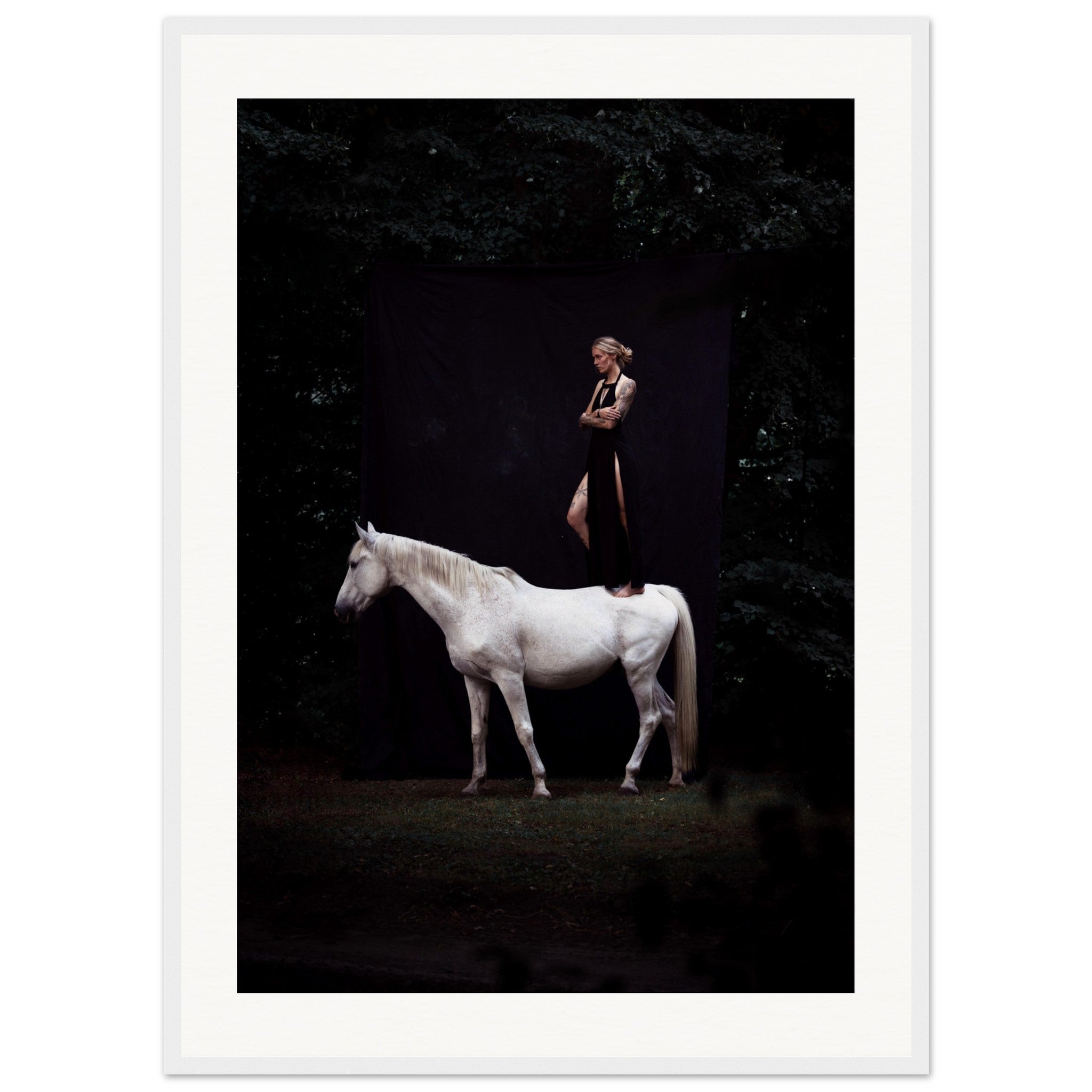 d1ece82f-a185-4baf-af0c-0c91fc457f64