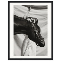 d20081bc-af7f-4f0a-8cb6-f3df46c64b06