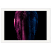 d214f320-172f-4f45-98ab-8044b5cd74eb