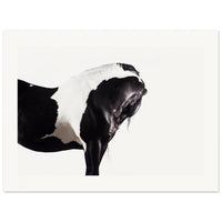 d255f297-9f86-43fd-9a02-28334dd539ed