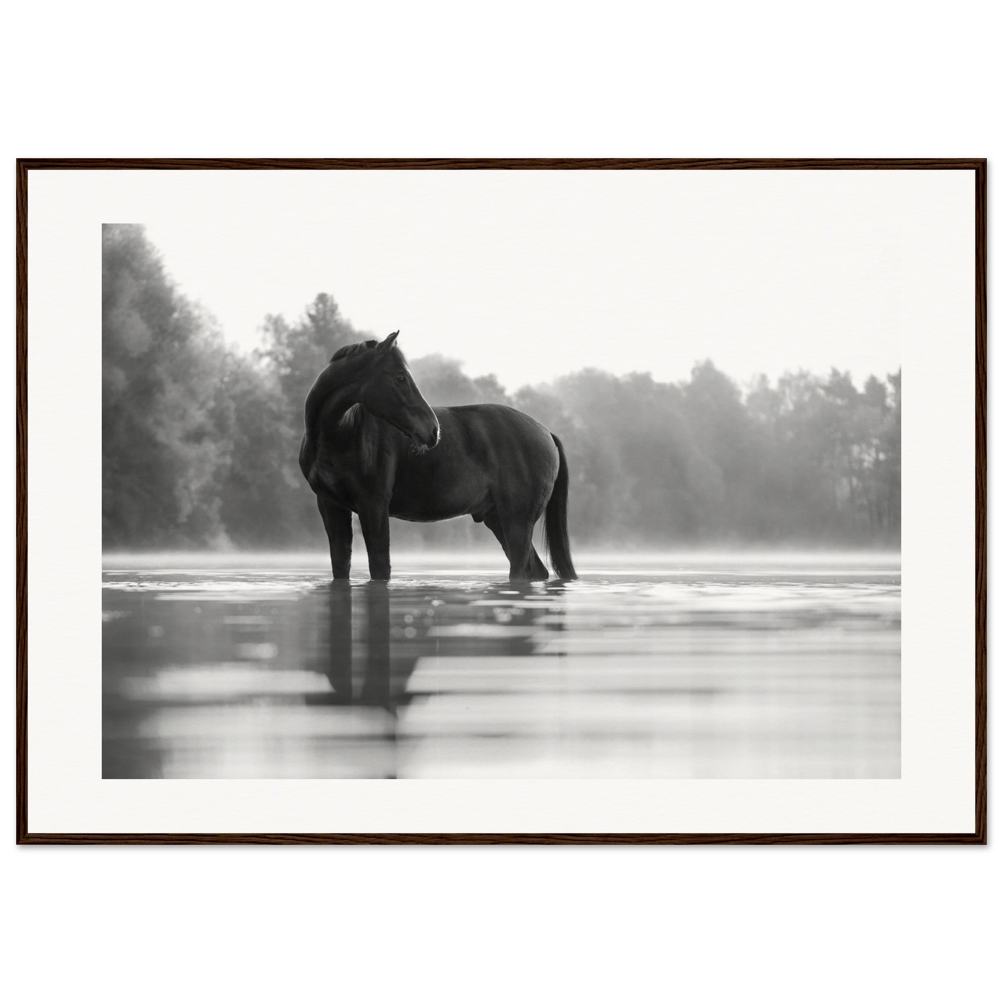 d2582fed-54c0-4cf9-8ea2-a6e65f423162