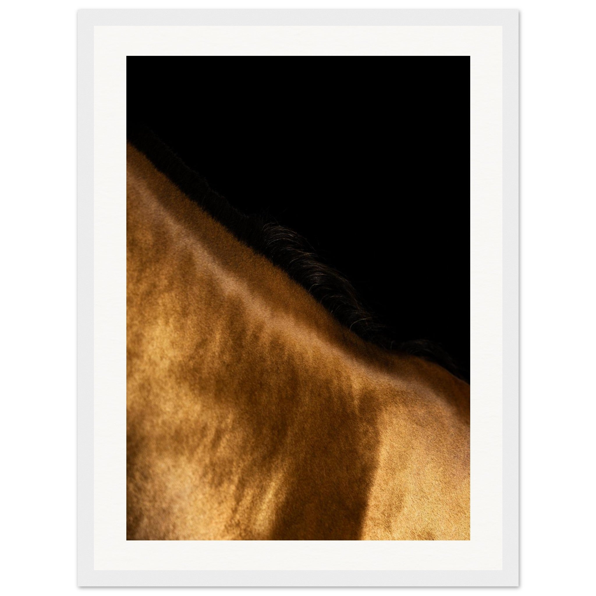 d2b6e6a1-8d9d-4791-9ddb-1fe37e93177b