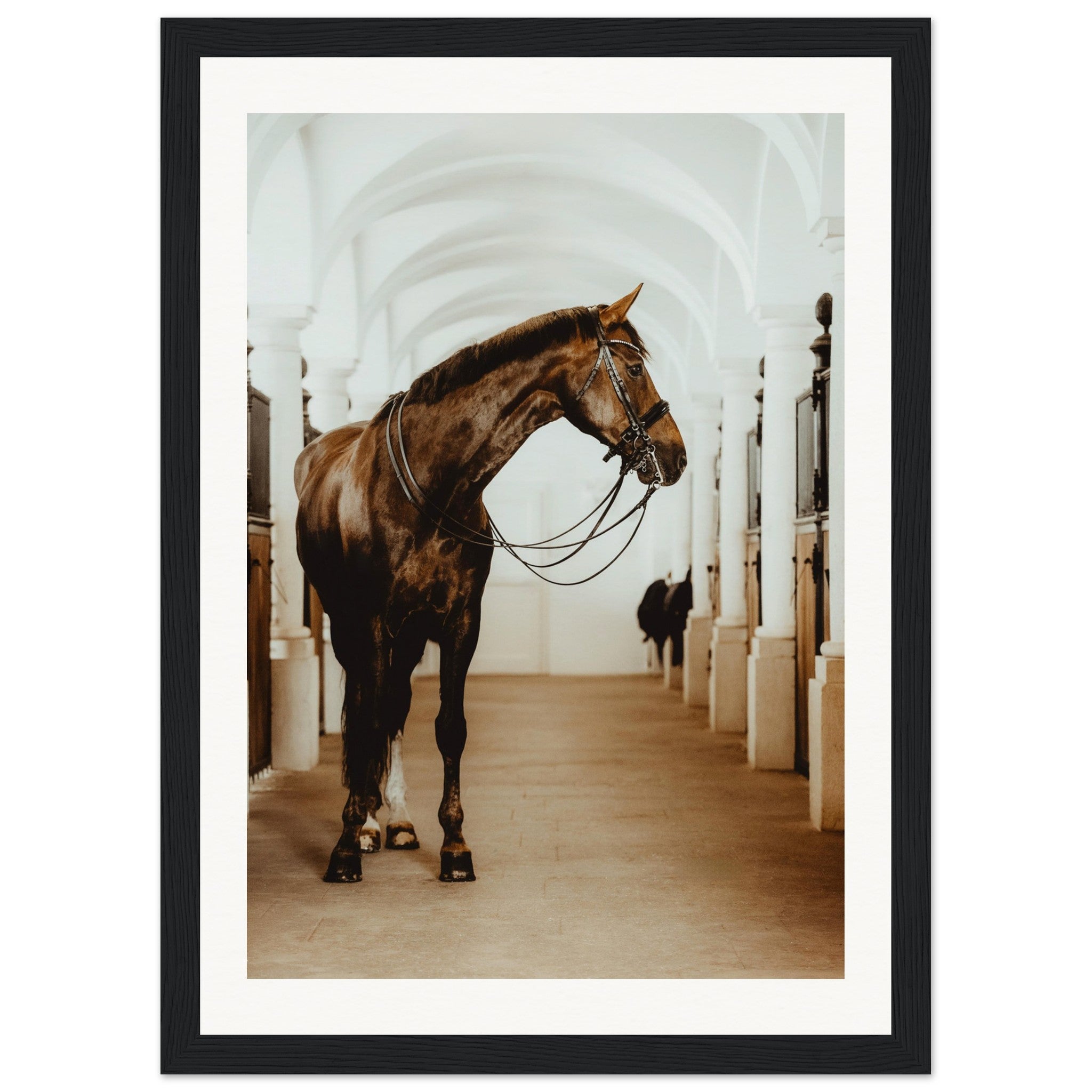 d2cc422d-fdd8-4b68-a25f-413c2a2be1dd