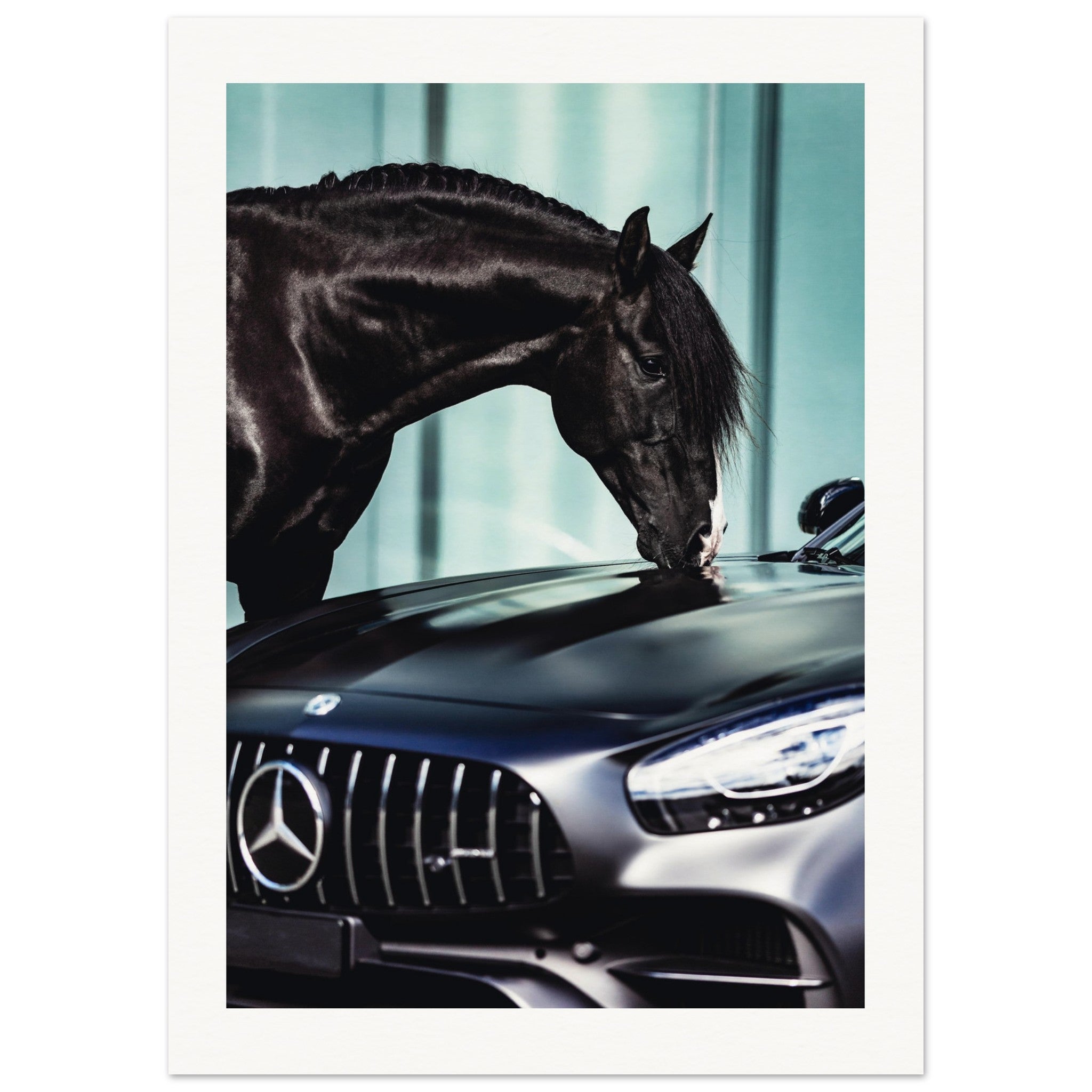 d2e2d80a-cb87-449c-bd63-76113b493712