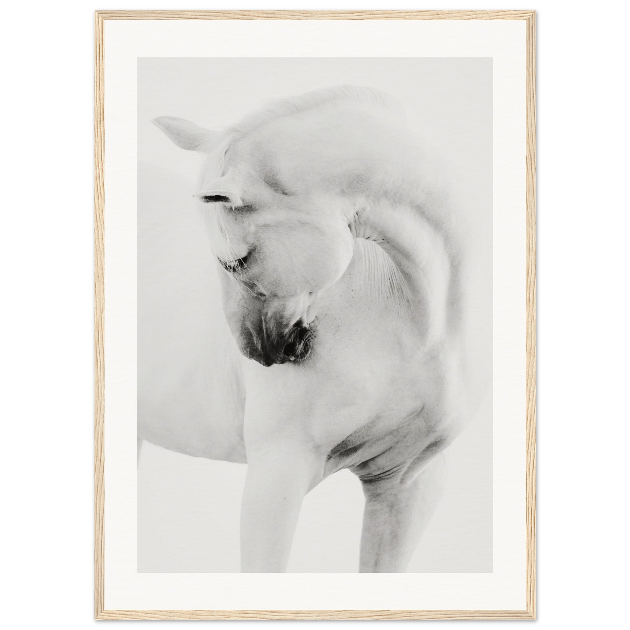 d32a3c3a-8721-44c5-ae9b-007435d556ff