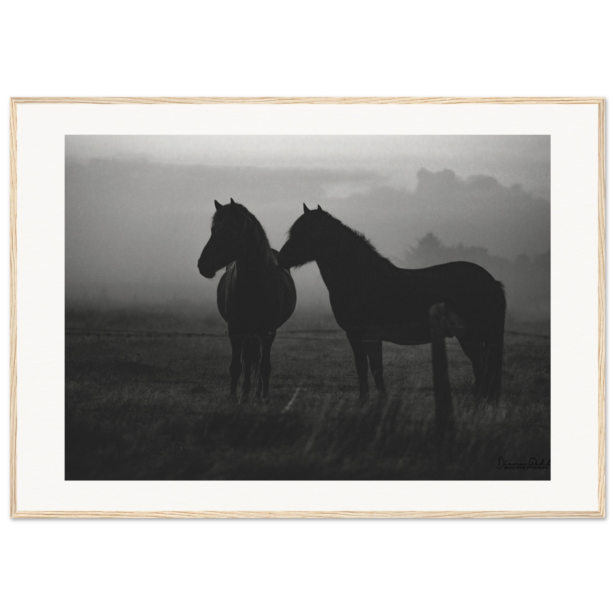 d33058ba-c4a1-4426-a100-79cd442dcd15