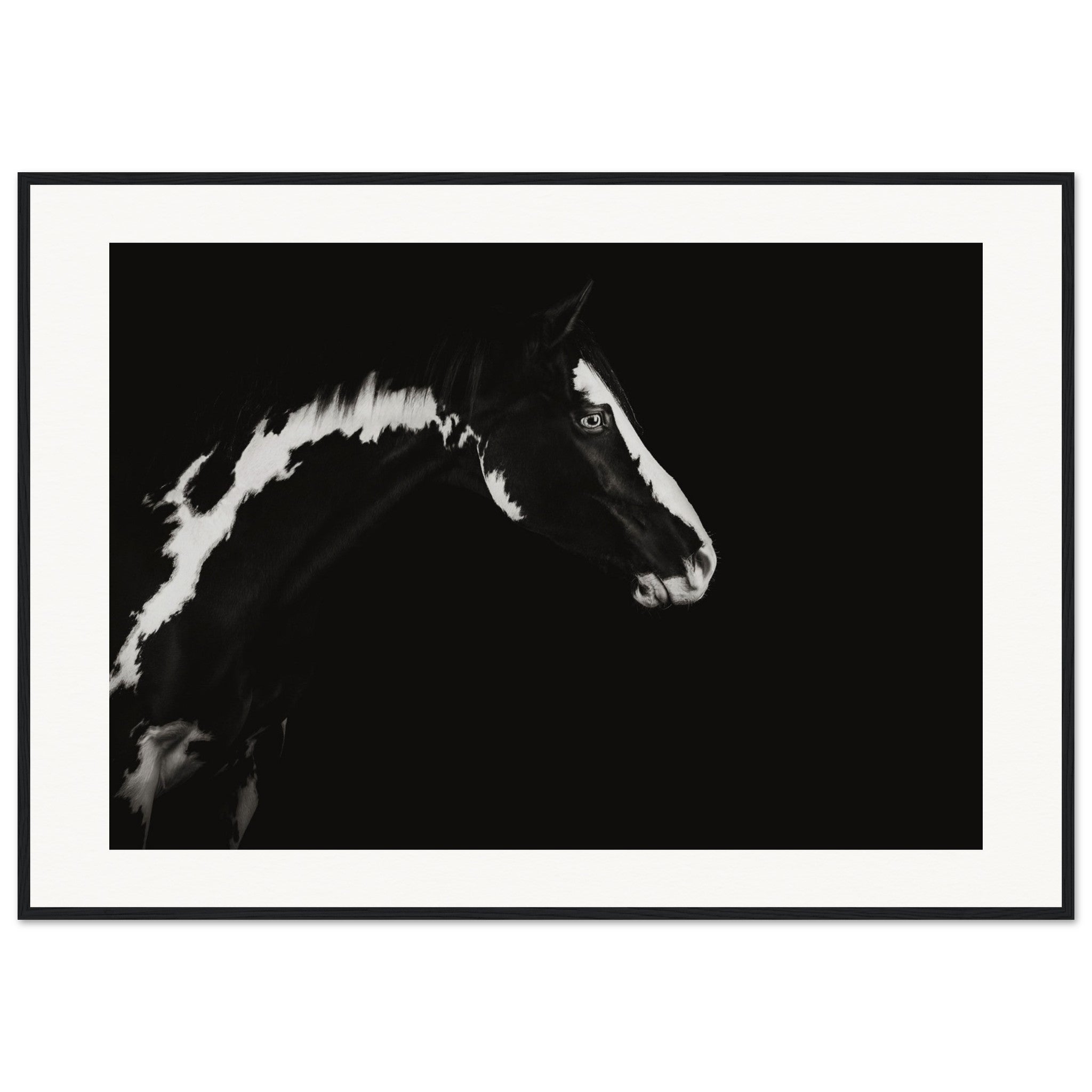 d33c3cc6-c977-4016-ab3b-3964e186722b