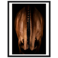 d33eac5b-1ce1-46a5-8b9c-21fe75f622e3