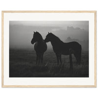 d36a8092-b7e4-4209-8dc1-2d80f68d0459