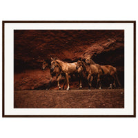 d3ab2464-ced5-461b-8bb4-c87c5fb8e1e8