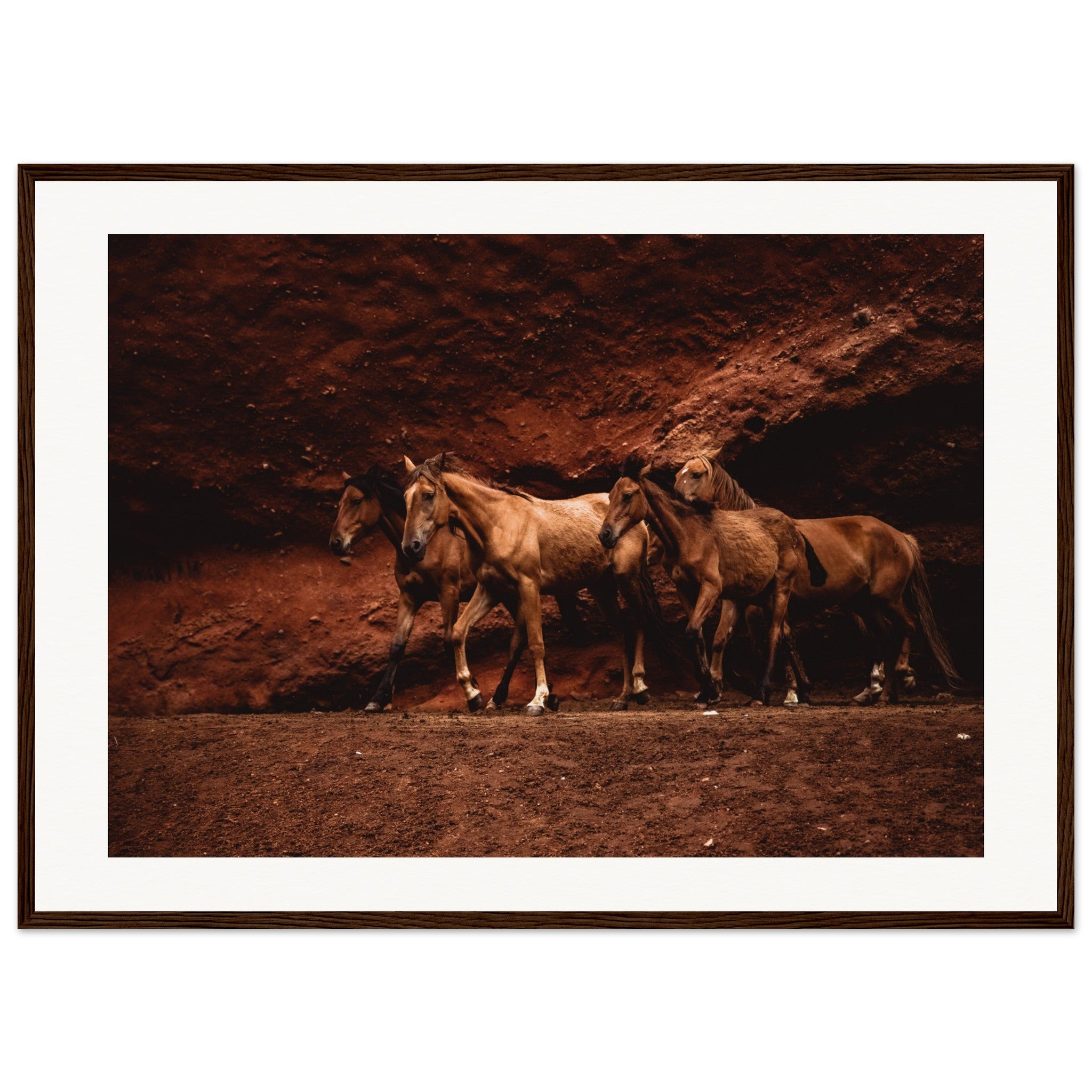 d3ab2464-ced5-461b-8bb4-c87c5fb8e1e8