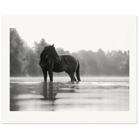 d3b52bf2-668e-40eb-96f4-65d25195c4b8