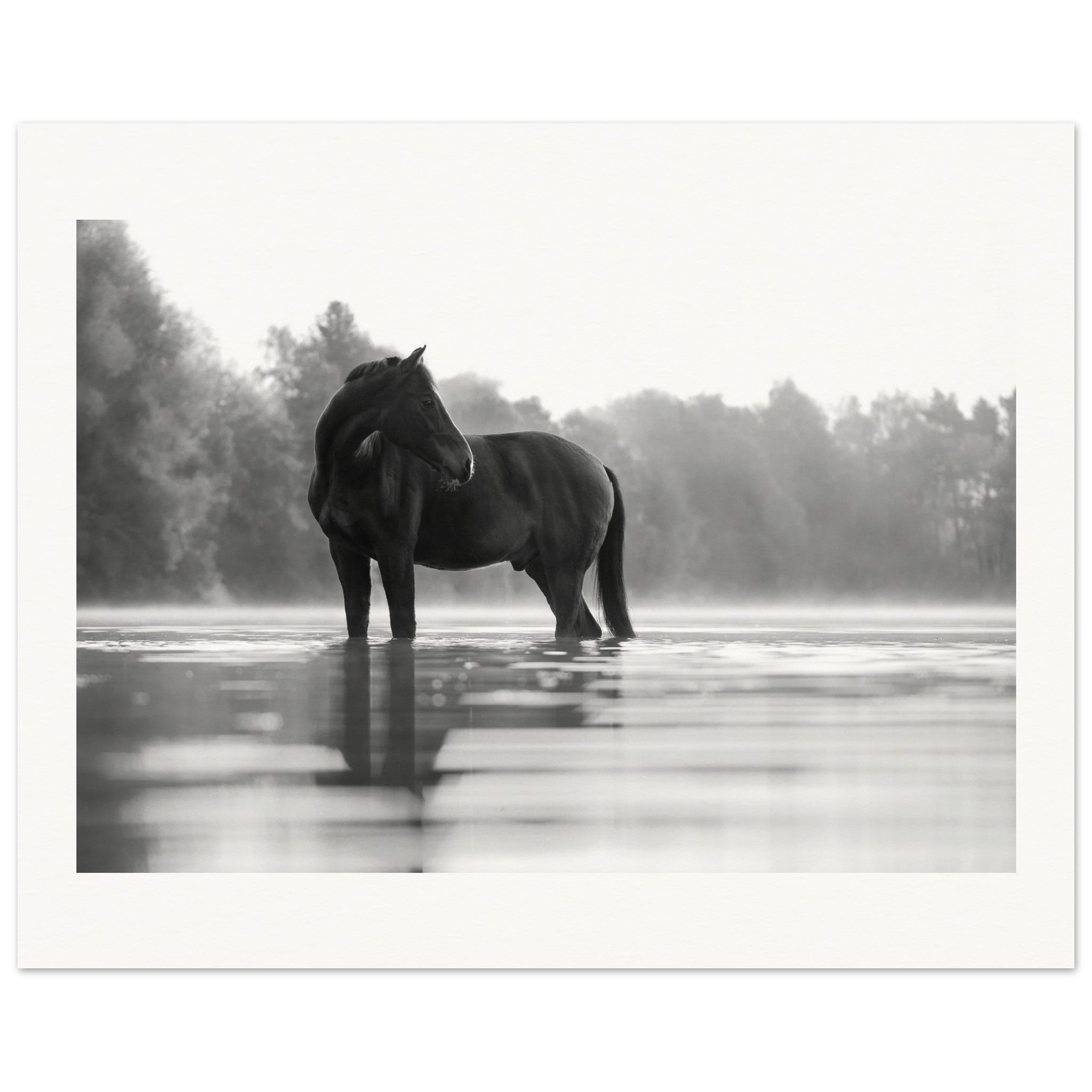 d3b52bf2-668e-40eb-96f4-65d25195c4b8