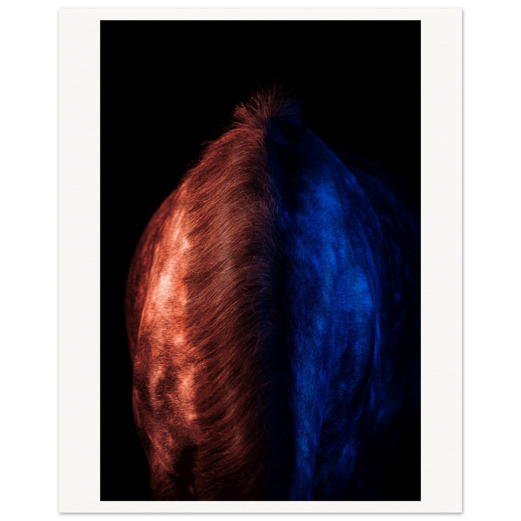 d3be06f8-7f47-413a-ad2f-cfc19f25aff9