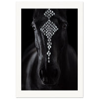 d3cfba47-7215-476f-946b-a0d00bbe3626