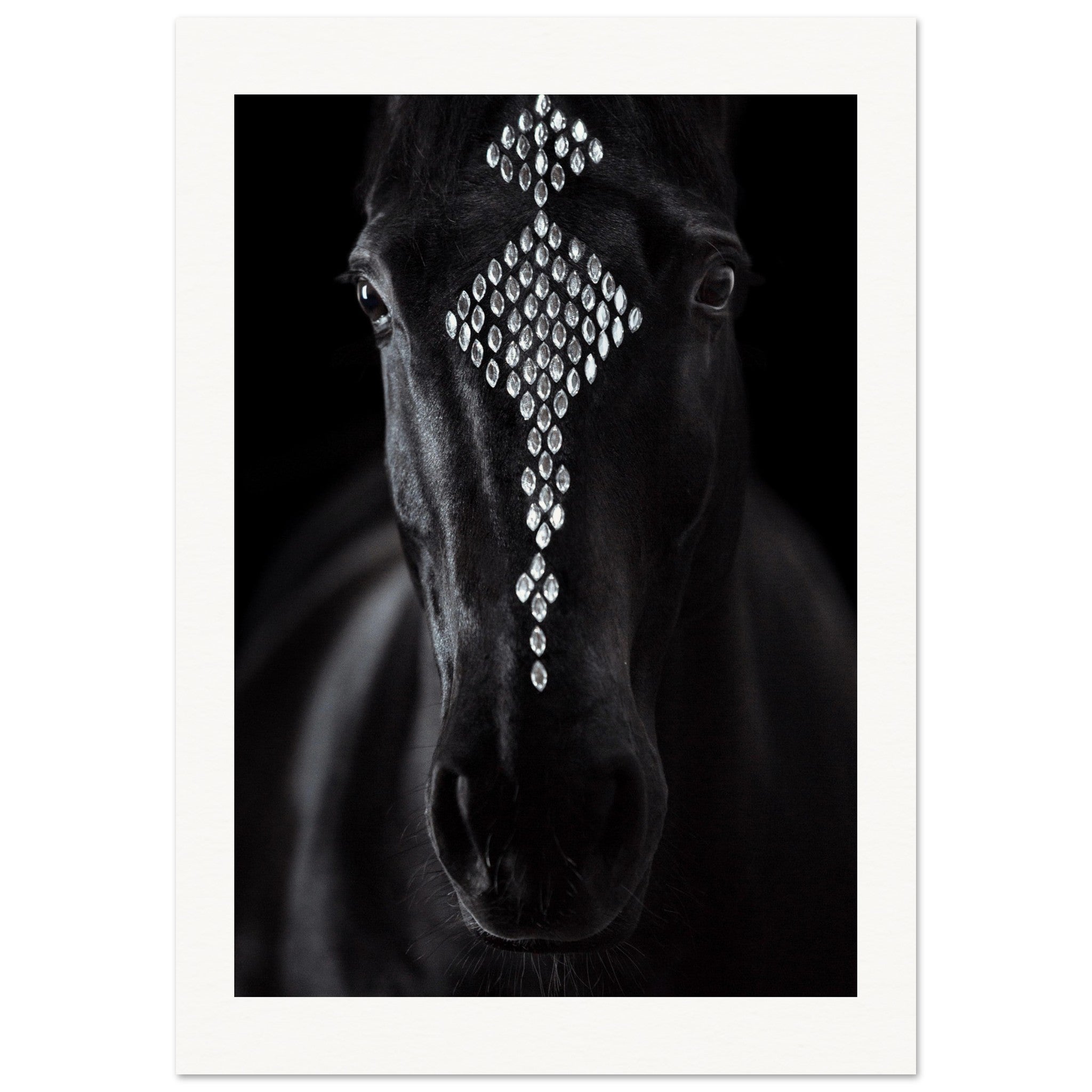 d3cfba47-7215-476f-946b-a0d00bbe3626