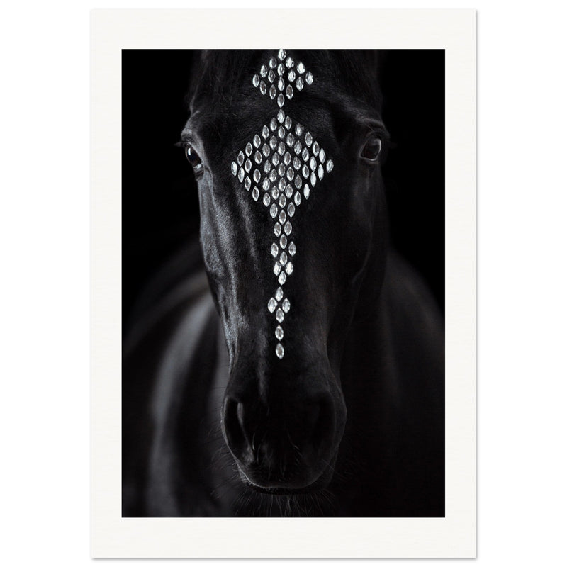 d3cfba47-7215-476f-946b-a0d00bbe3626