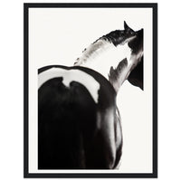 d3de5c4e-ebcf-45b9-b98c-465cd174c4d0