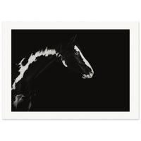 d4167f15-3bee-4d25-ace1-ea531f9dd73b