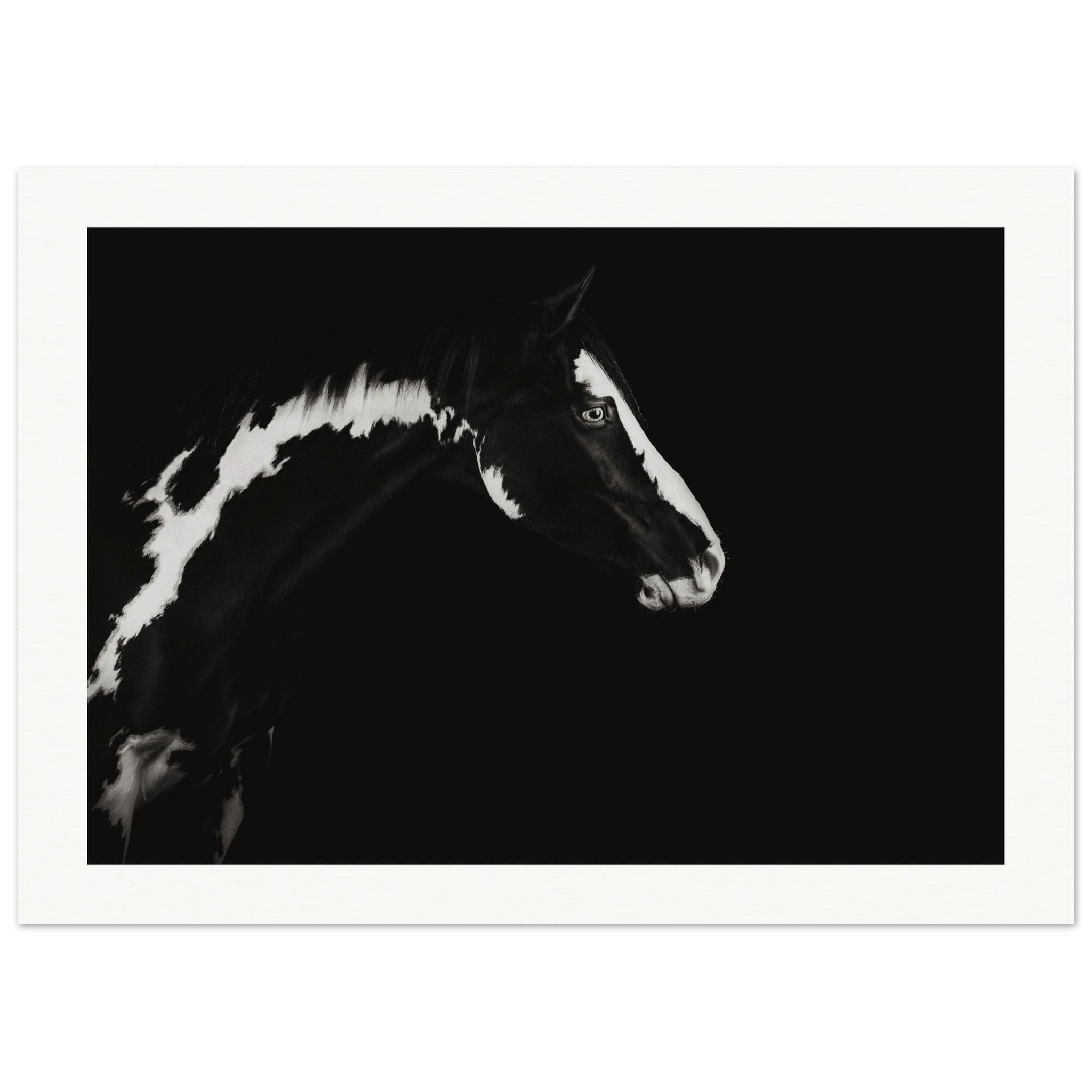 d4167f15-3bee-4d25-ace1-ea531f9dd73b