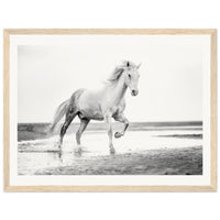 d42e21af-7ac2-4677-8196-1f7d1f6af854