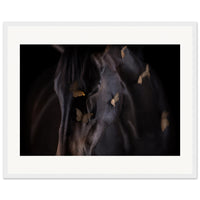 d43f5670-65a1-404e-b1d2-ea6246fd7325