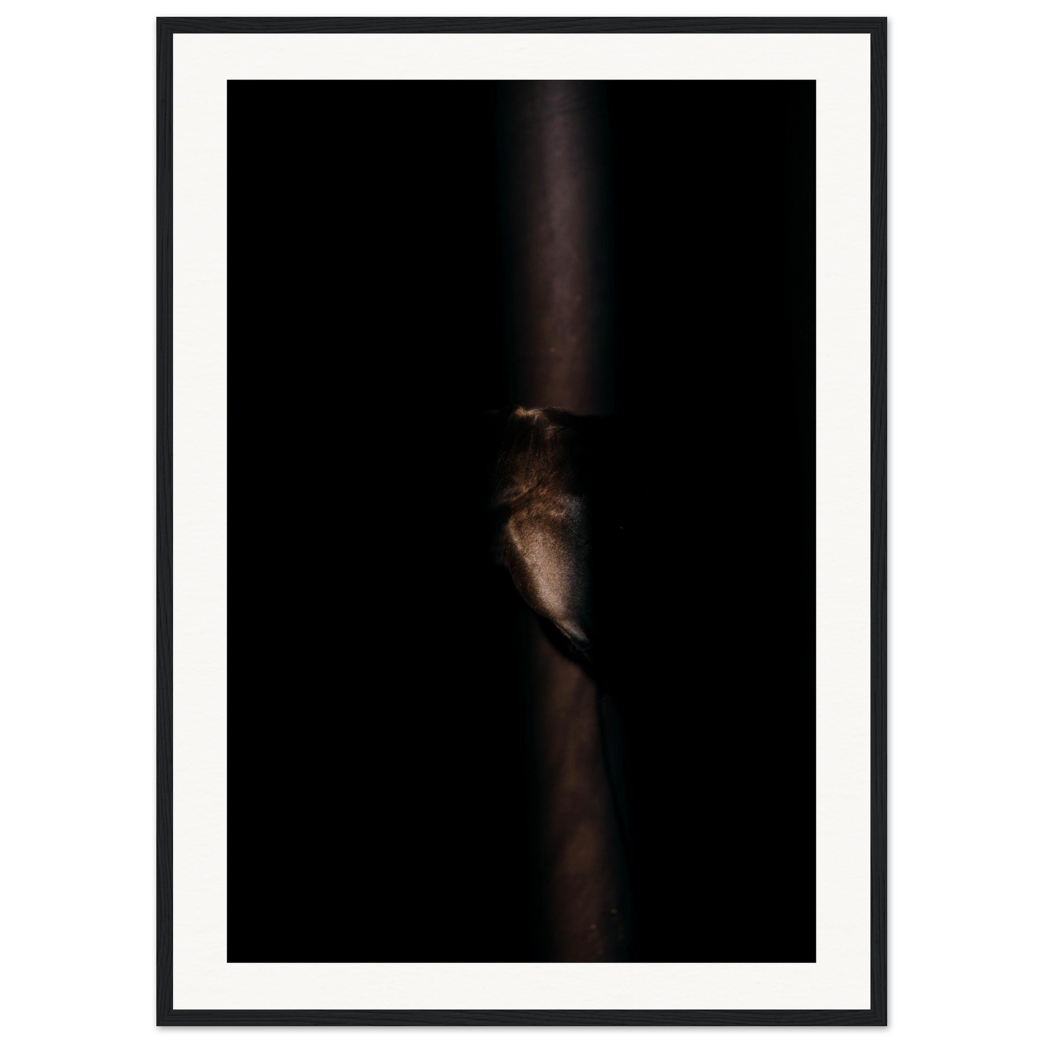 d4614d41-3c79-4b8f-beff-6ac15f83420d