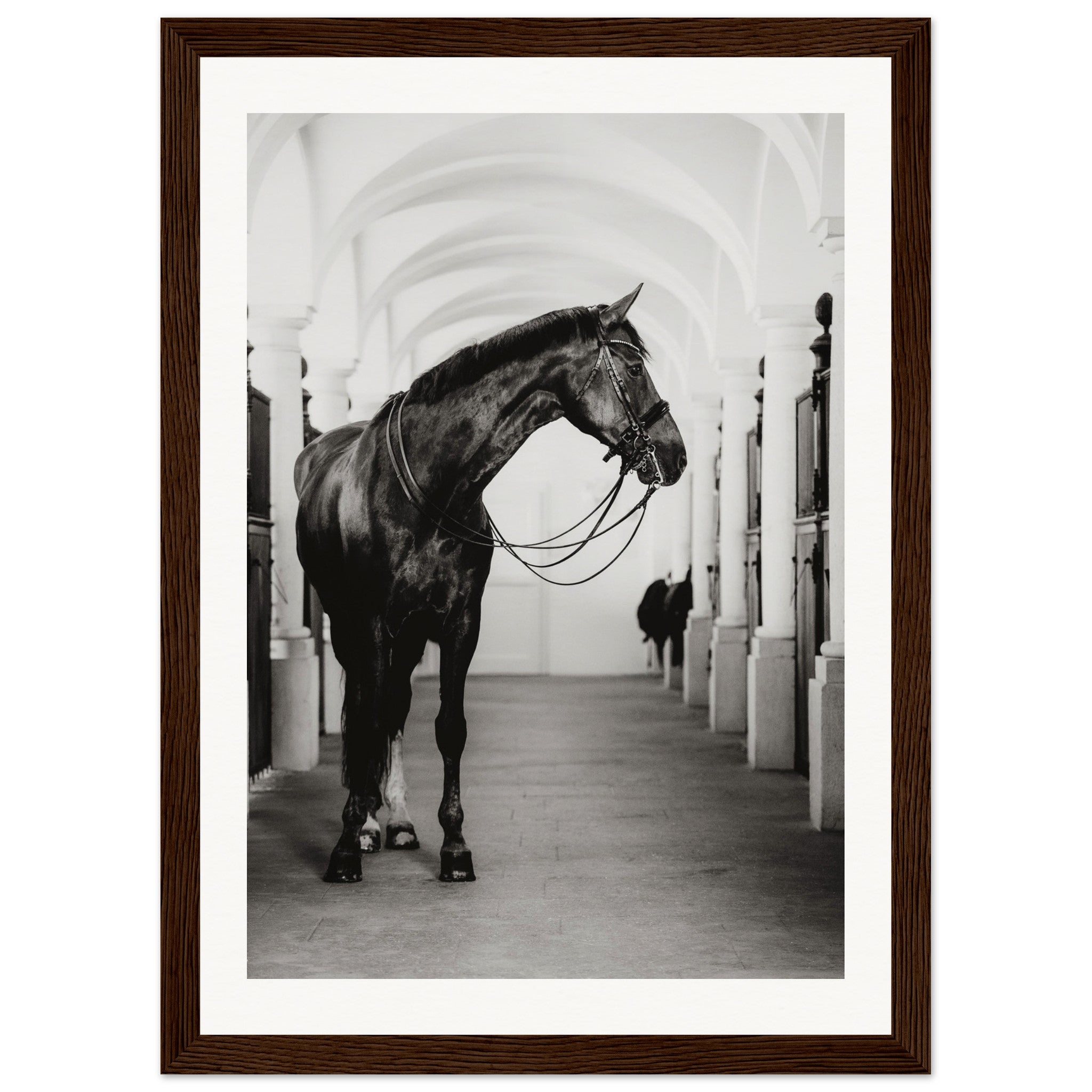 d472c7ec-797f-47f1-af61-3dca1659b427