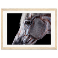 d474453b-99c4-4da0-aa76-710e9fc7c23f