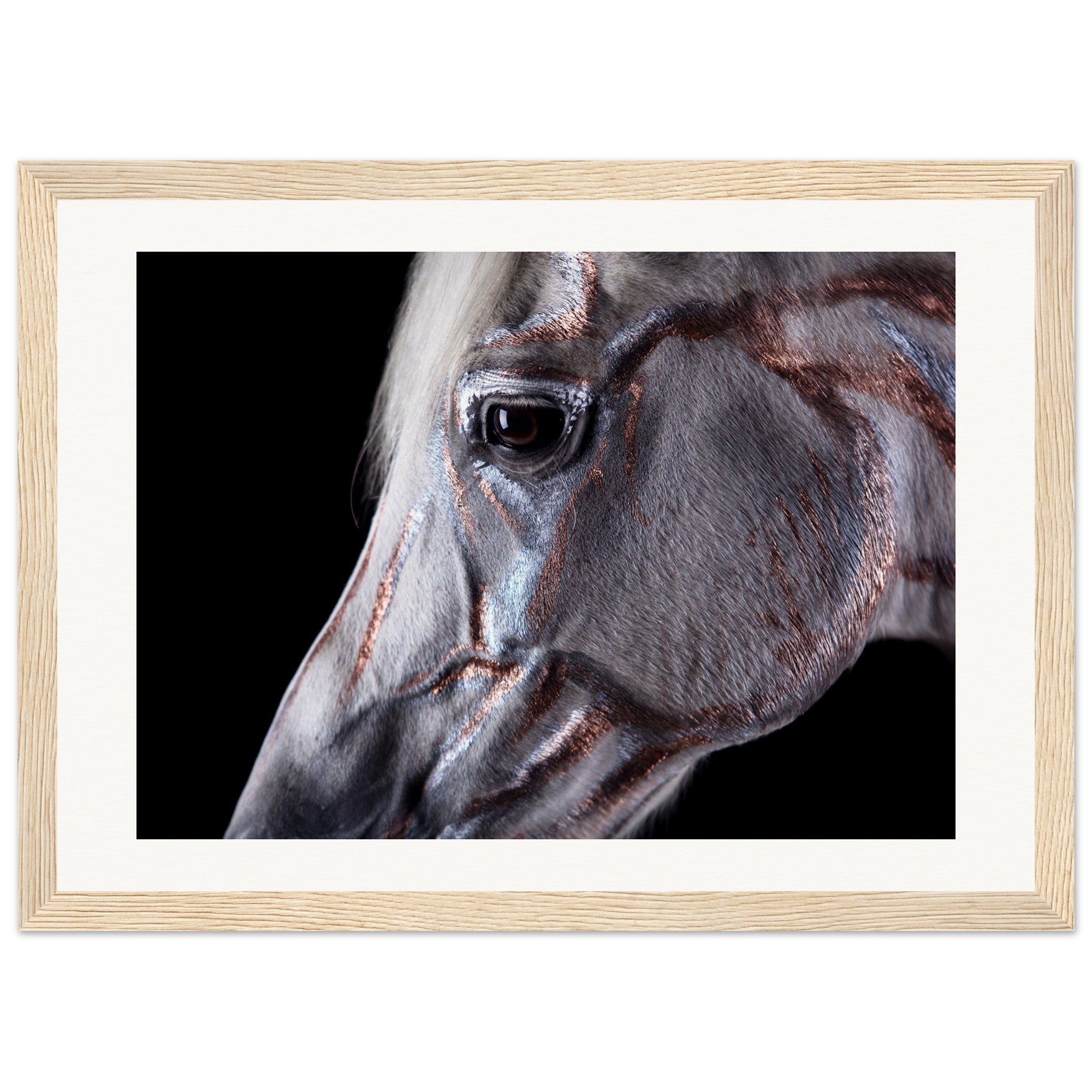 d474453b-99c4-4da0-aa76-710e9fc7c23f