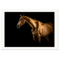 d4748420-8496-42e3-a51e-4379c891c1f1