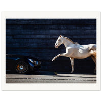 d4c270b5-47a1-40f6-9785-69db3a9fc5a8