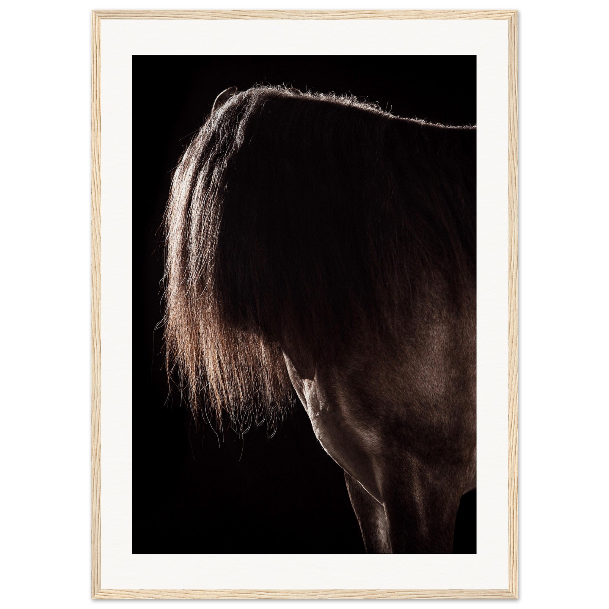 d4d034d0-abb2-48cc-92d4-90f2b607f3f1