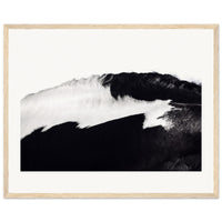 d4f64d2c-35ff-4ffd-812e-c229d03fc1d9