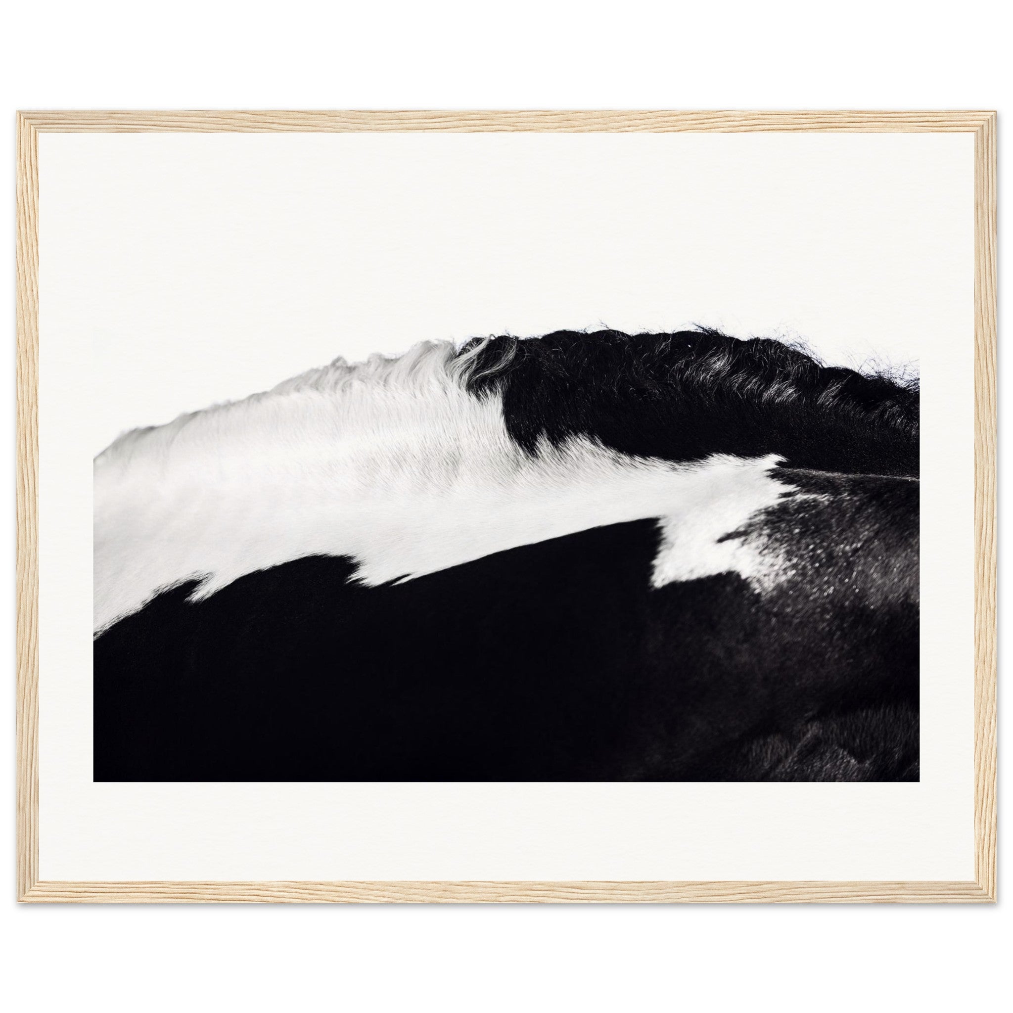 d4f64d2c-35ff-4ffd-812e-c229d03fc1d9