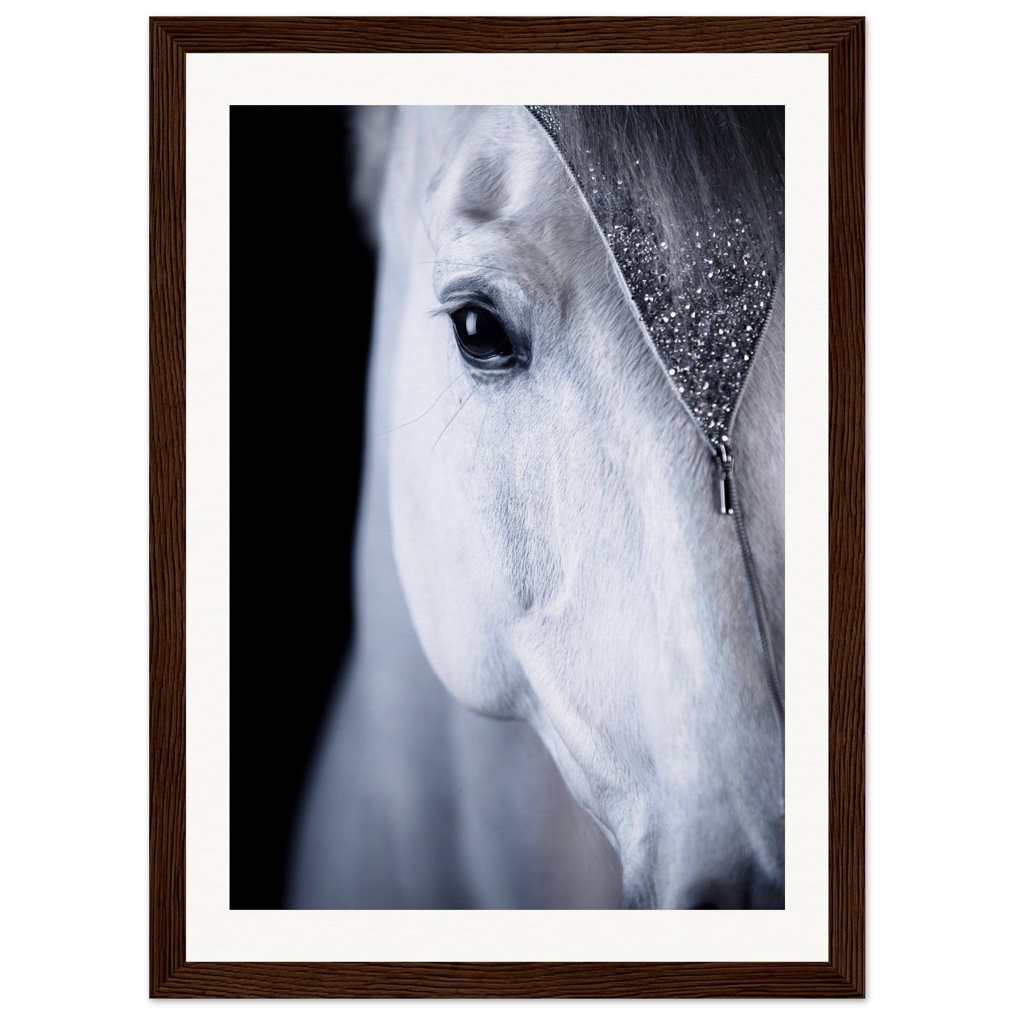 d5250ca2-4d2d-42d4-9f3b-c73f71b481e0