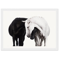 d5394343-1c9b-4cd2-b3e0-159c6c08fb4a