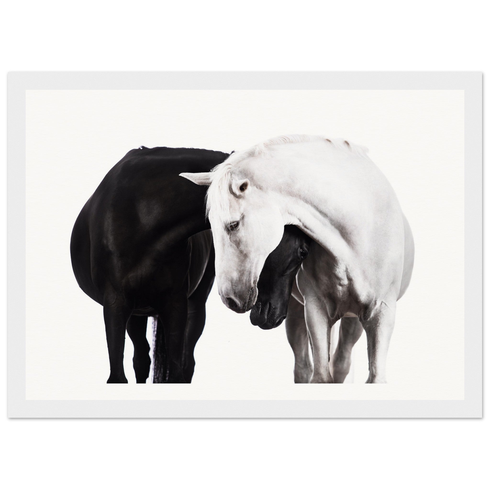 d5394343-1c9b-4cd2-b3e0-159c6c08fb4a