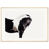 d53c3928-0e69-4040-8549-427a74bb78f2