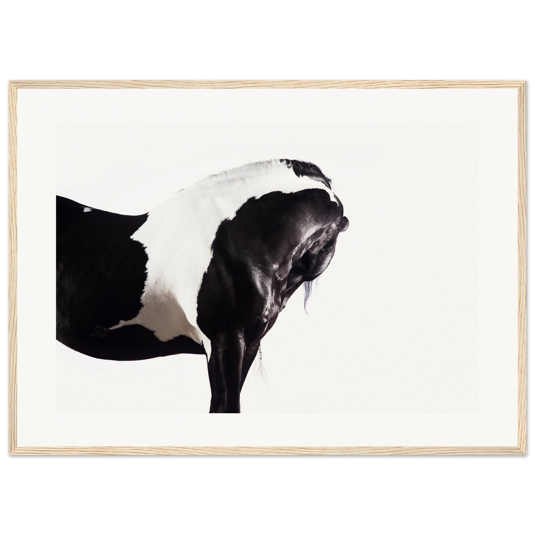 d53c3928-0e69-4040-8549-427a74bb78f2